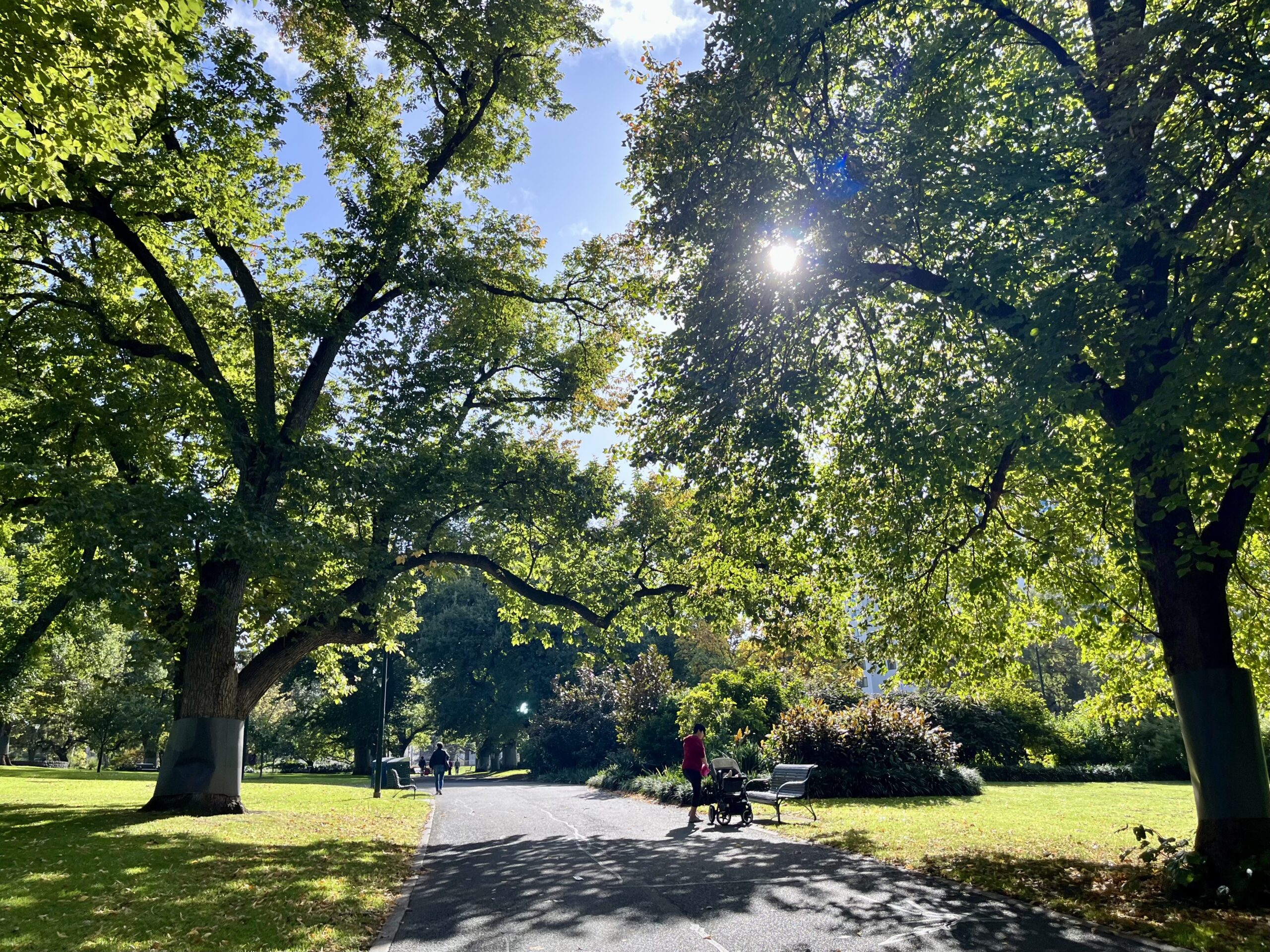 Flagstaff Gardens by Line