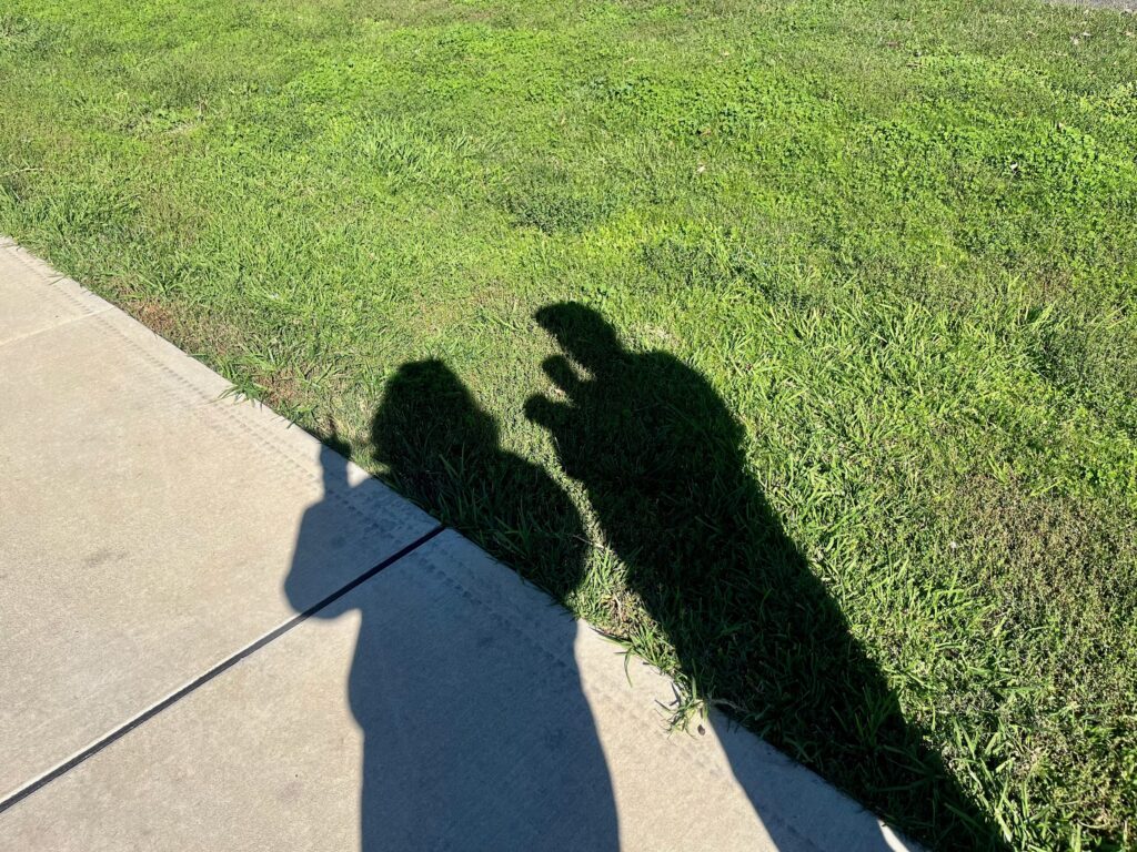 shadows on grass by Line